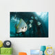 Golden Spadefish Gather under Wall Decal Design 1