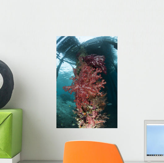 Soft Corals Adorn Legs Wall Decal Design 2