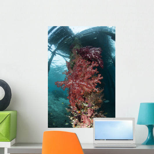Soft Corals Adorn Legs Wall Decal Design 2
