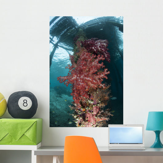 Soft Corals Adorn Legs Wall Decal Design 2