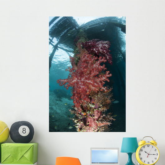 Soft Corals Adorn Legs Wall Decal Design 2