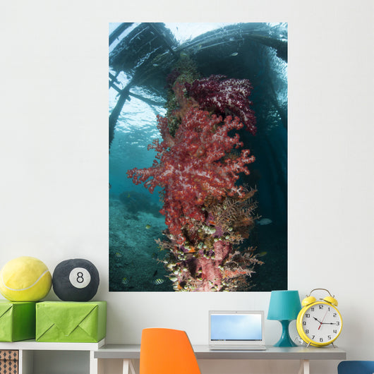 Soft Corals Adorn Legs Wall Decal Design 2
