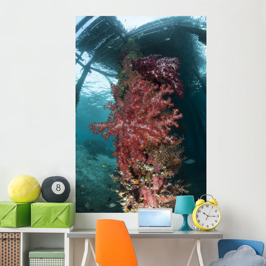 Soft Corals Adorn Legs Wall Decal Design 2