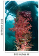 Soft Corals Adorn Legs Wall Decal Design 2