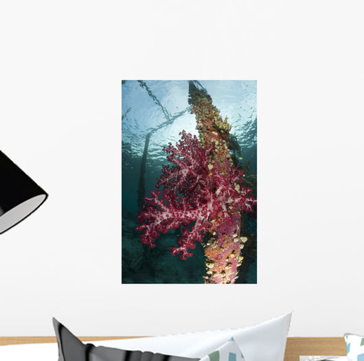 Soft Corals Adorn Legs Wall Decal Design 1