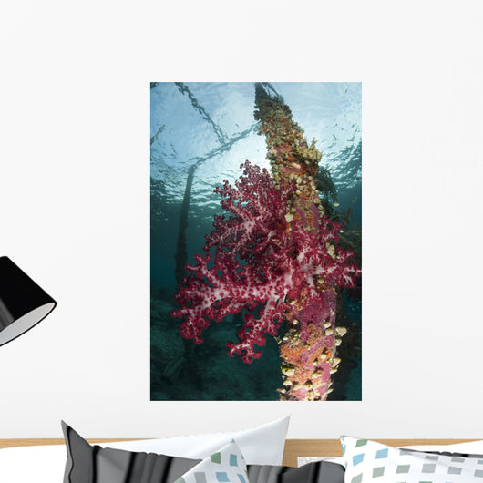 Soft Corals Adorn Legs Wall Decal Design 1