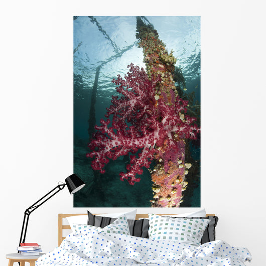 Soft Corals Adorn Legs Wall Decal Design 1