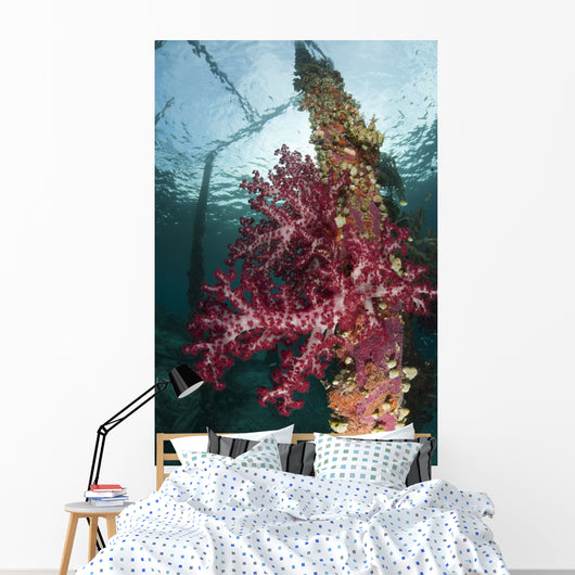 Soft Corals Adorn Legs Wall Decal Design 1