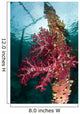 Soft Corals Adorn Legs Wall Decal Design 1
