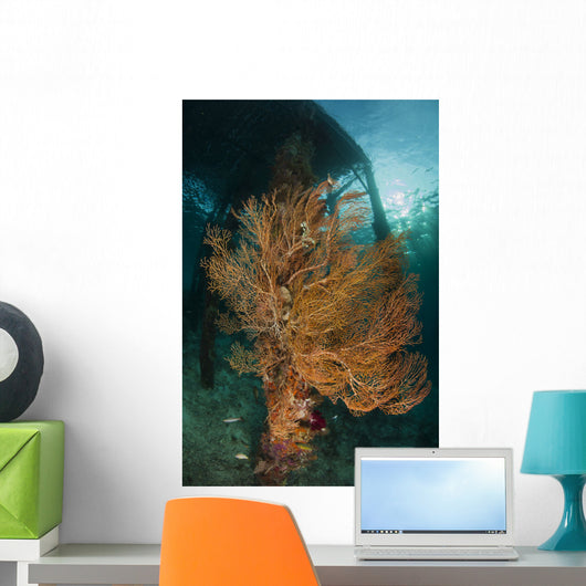 Gorgonian Sea Fan Attached Wall Decal
