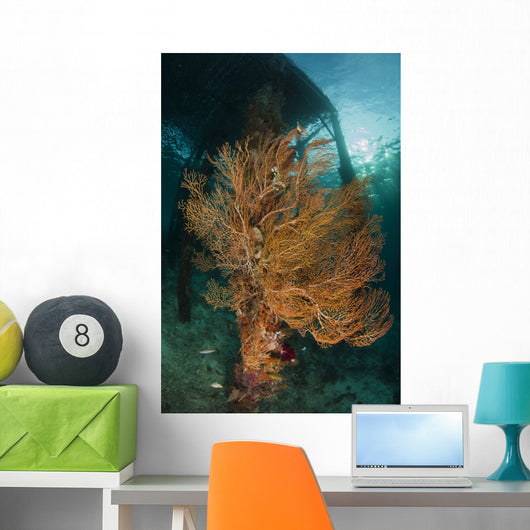 Gorgonian Sea Fan Attached Wall Decal