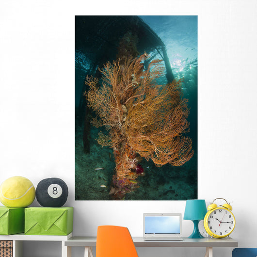 Gorgonian Sea Fan Attached Wall Decal