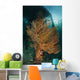Gorgonian Sea Fan Attached Wall Decal