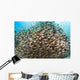 School Golden Sweeper Fish Wall Decal