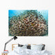 School Golden Sweeper Fish Wall Decal