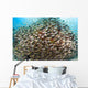 School Golden Sweeper Fish Wall Decal
