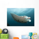 Giant Oceanic Manta Ray Wall Decal Design 2
