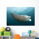 Giant Oceanic Manta Ray Wall Decal Design 2