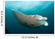 Giant Oceanic Manta Ray Wall Decal Design 2