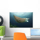 Underside Giant Oceanic Manta Wall Decal Design 3
