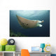 Underside Giant Oceanic Manta Wall Decal Design 3