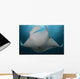 Underside Giant Oceanic Manta Wall Decal Design 2