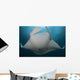 Underside Giant Oceanic Manta Wall Decal Design 2