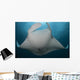 Underside Giant Oceanic Manta Wall Decal Design 2