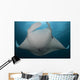 Underside Giant Oceanic Manta Wall Decal Design 2