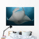 Underside Giant Oceanic Manta Wall Decal Design 2