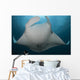 Underside Giant Oceanic Manta Wall Decal Design 2