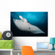 Underside Giant Oceanic Manta Wall Decal Design 1