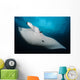 Underside Giant Oceanic Manta Wall Decal Design 1