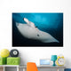 Underside Giant Oceanic Manta Wall Decal Design 1