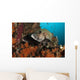 Pair Many-spotted Sweetlips Soft Wall Decal