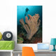 Diver and Elephant Ear Wall Decal Design 2