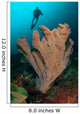 Diver and Elephant Ear Wall Decal Design 2