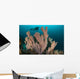Diver and Elephant Ear Wall Decal Design 1