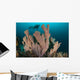 Diver and Elephant Ear Wall Decal Design 1