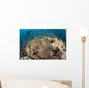 Diver Approaching Large Group Wall Decal