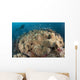 Diver Approaching Large Group Wall Decal