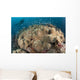 Diver Approaching Large Group Wall Decal