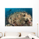 Diver Approaching Large Group Wall Decal