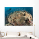 Diver Approaching Large Group Wall Decal