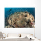 Diver Approaching Large Group Wall Decal