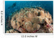 Diver Approaching Large Group Wall Decal