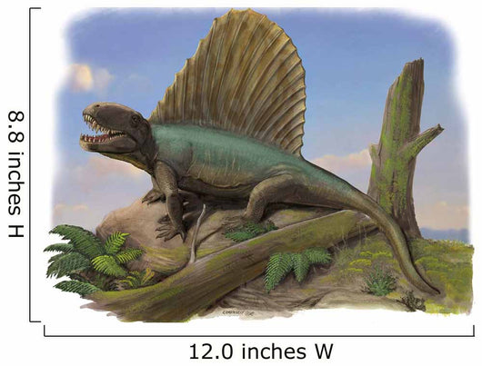 Dimetrodon Limbatus Prehistoric Animal Wall Decal