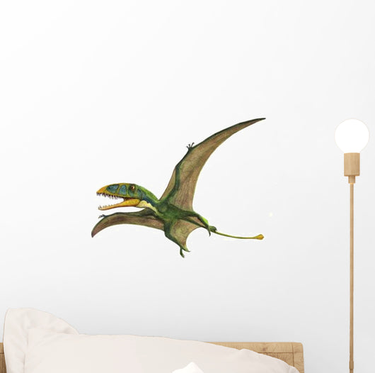 Dimorphodon Macronyx Prehistoric Era Wall Decal