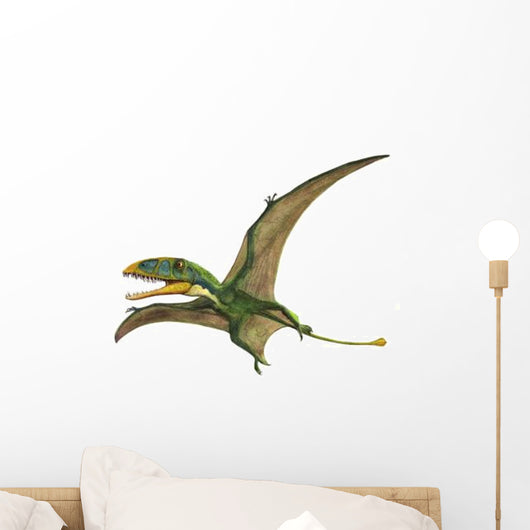 Dimorphodon Macronyx Prehistoric Era Wall Decal