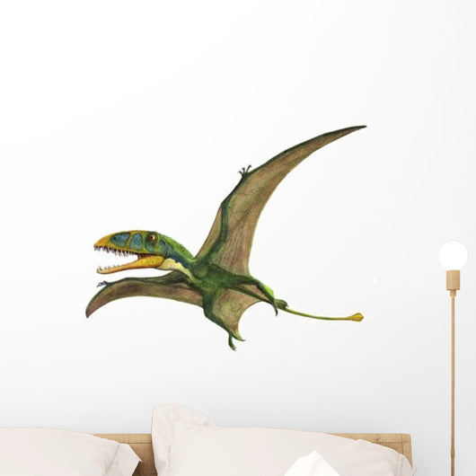 Dimorphodon Macronyx Prehistoric Era Wall Decal